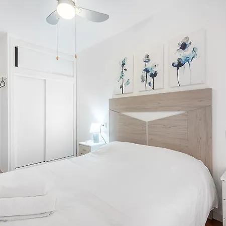 Espanhouse Denny Three Bed 公寓 托雷维耶哈