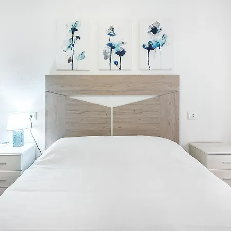 Espanhouse Denny Three Bed 托雷维耶哈